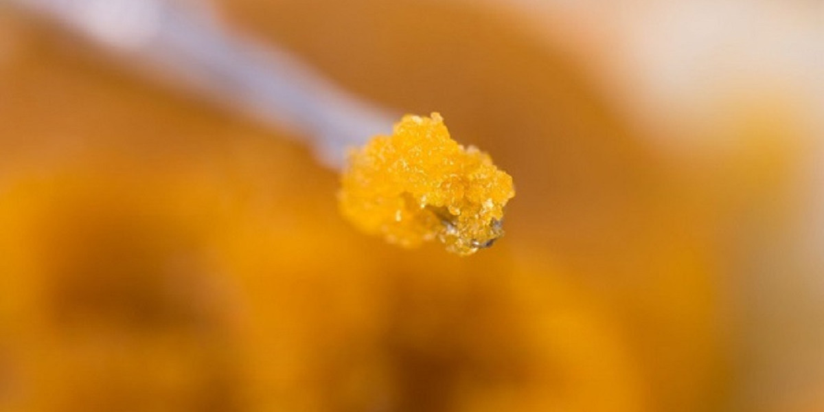 Exploring the Evolution of Cannabis Concentrates: From Flower to Budder