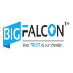 BIG FALCON Profile Picture