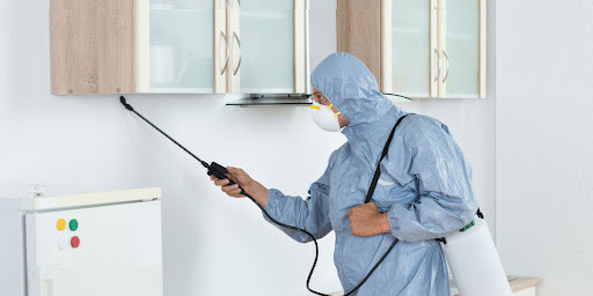 Sydney's Top Pest Control Services: Finding the Best Solution for Your Home
