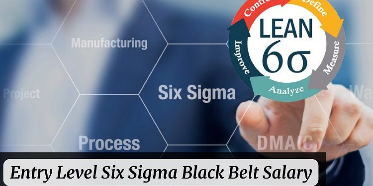 Lean Six Sigma Black Belt Salary