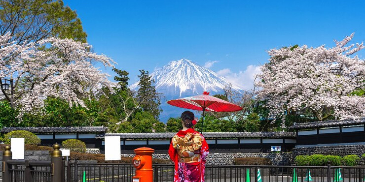 All-Inclusive Tokyo Tour Packages: Explore the City's Highlights with Expert Guides