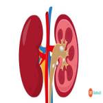 Kidney Treatment in India Profile Picture