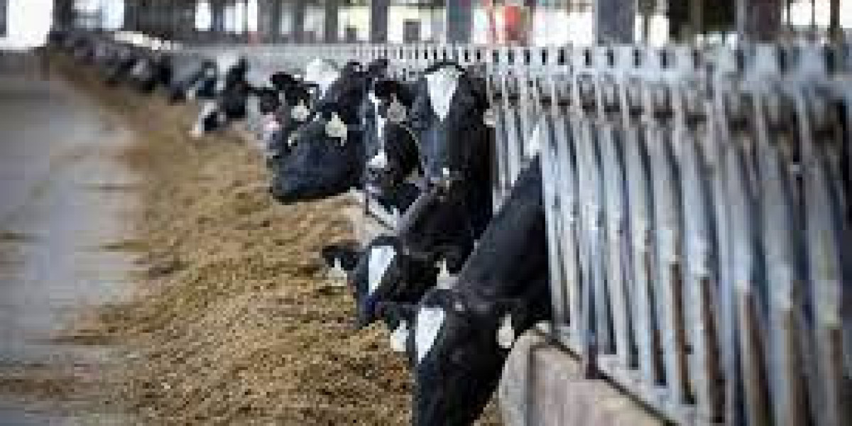 Dairy Herd Management Market Size, Share Analysis, Key Companies, and Forecast To 2030