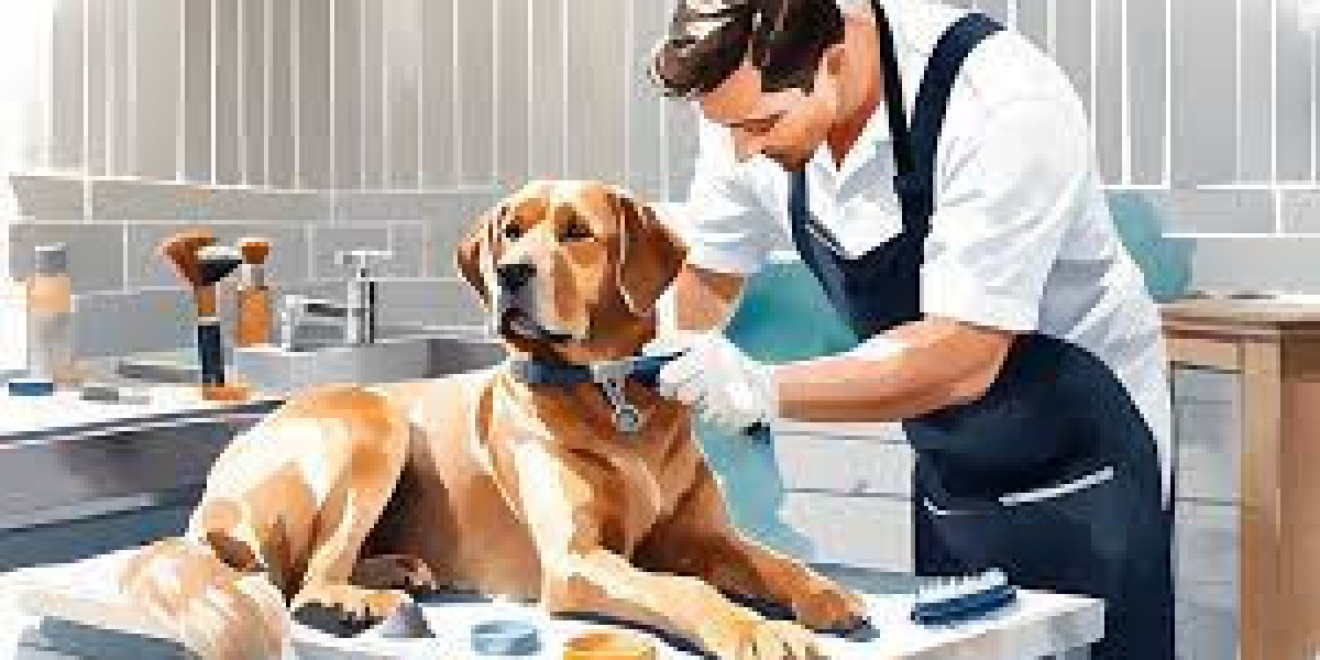 Pet Grooming Essentials: Must-Have Services for Maintaining Your Pet's Well-being