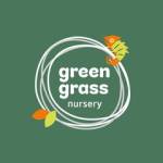 Green Grass Nursery Profile Picture