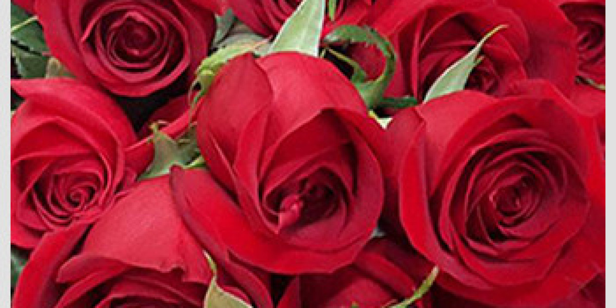 Exploring the World of Wholesale Roses
