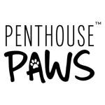 Penthouse Paws Profile Picture