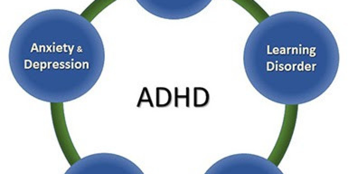 SNAP Always - the Best Formula with Brain Supplements for ADHD
