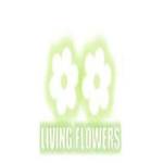 living flowers Profile Picture