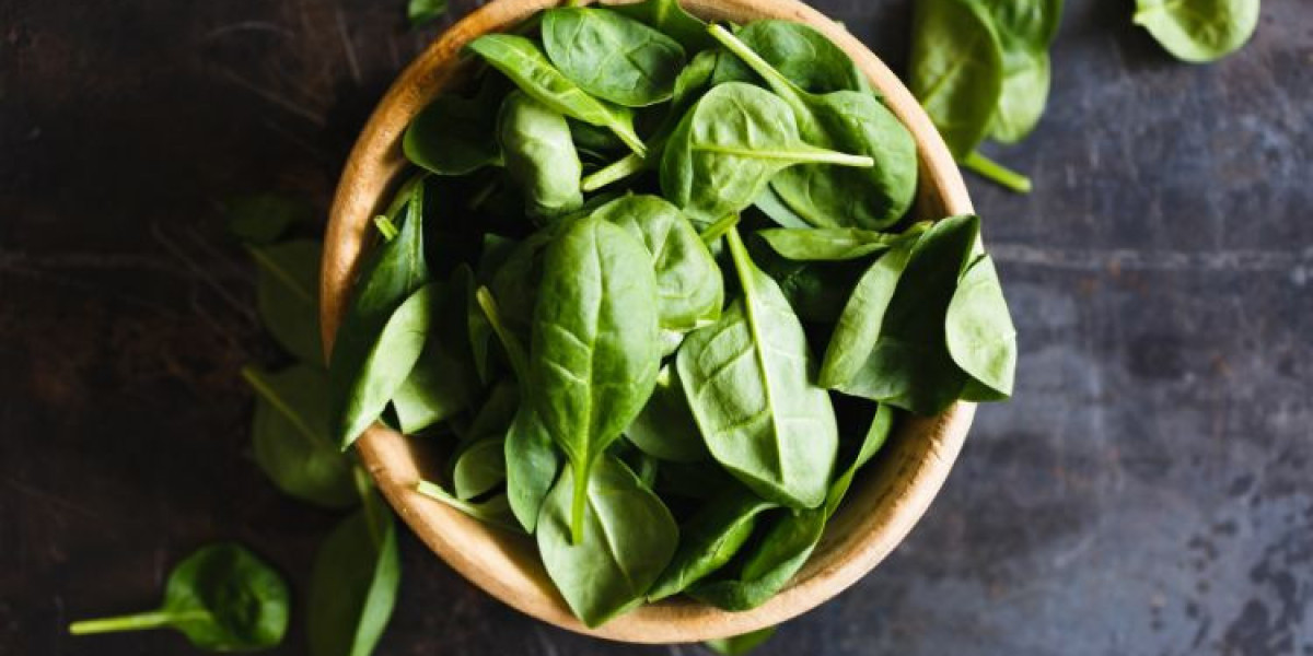 Unveiling the Health Benefits and Culinary Wonders of Basil Leaves Market