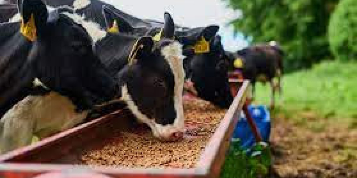 Animal Feed Market Growth: Analysis and Forecast (2023-2030)"