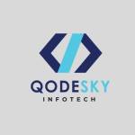 qodeskyinfotech Profile Picture