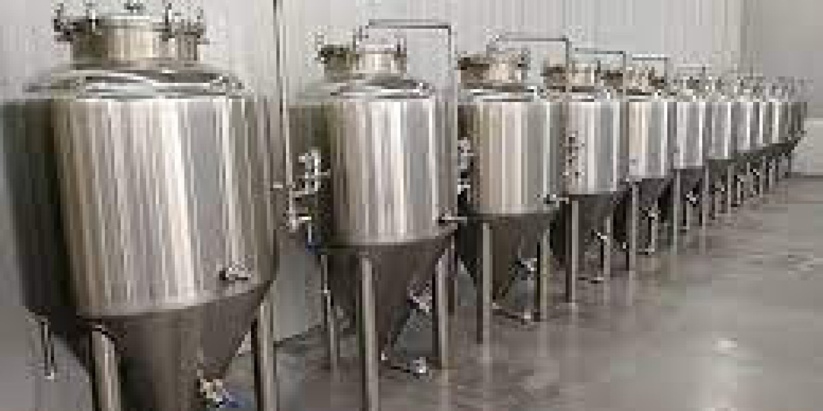 Stainless Steel Fermenter Market Forecast: Trends and Insights (2024-2032)