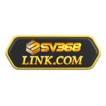 SV368 Link Profile Picture