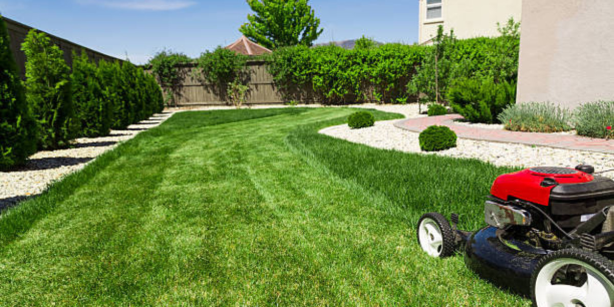 The Complete Guide to Lawn Clean Up, Pest Control, and Tree Trimming Services Near You