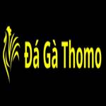 Đá Gà Thomo Profile Picture