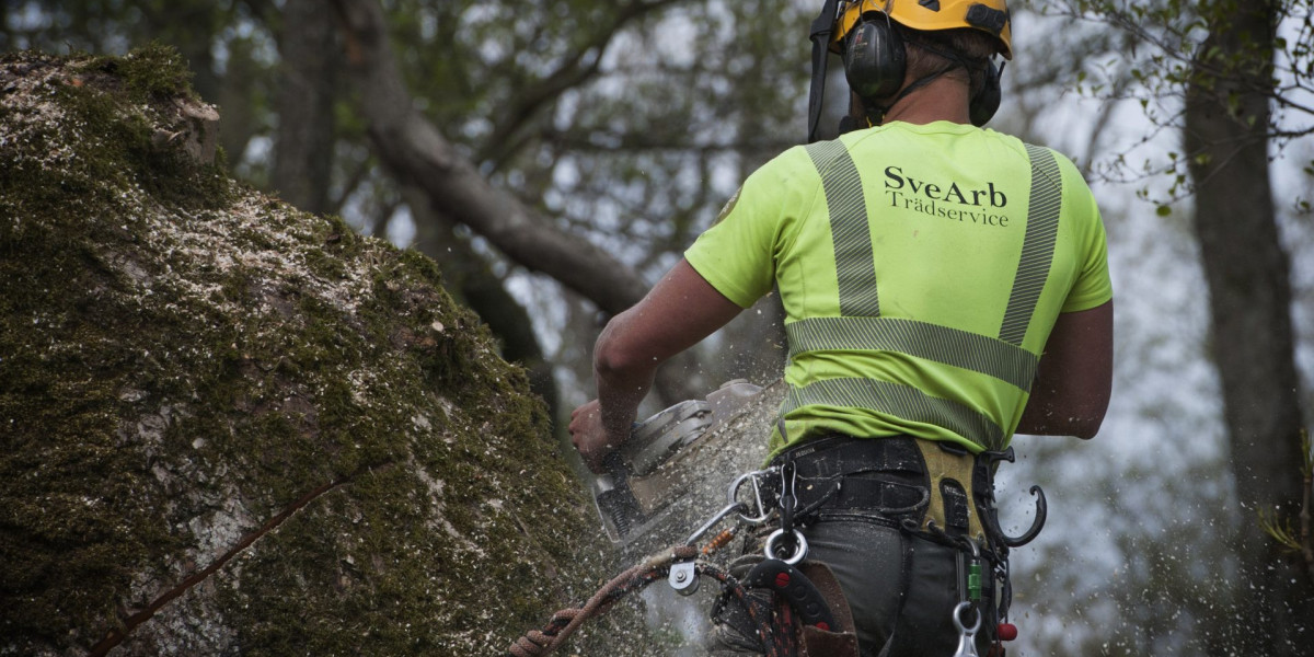 Unveiling Expertise: The Role of Arborists in Scania's Green Canopy