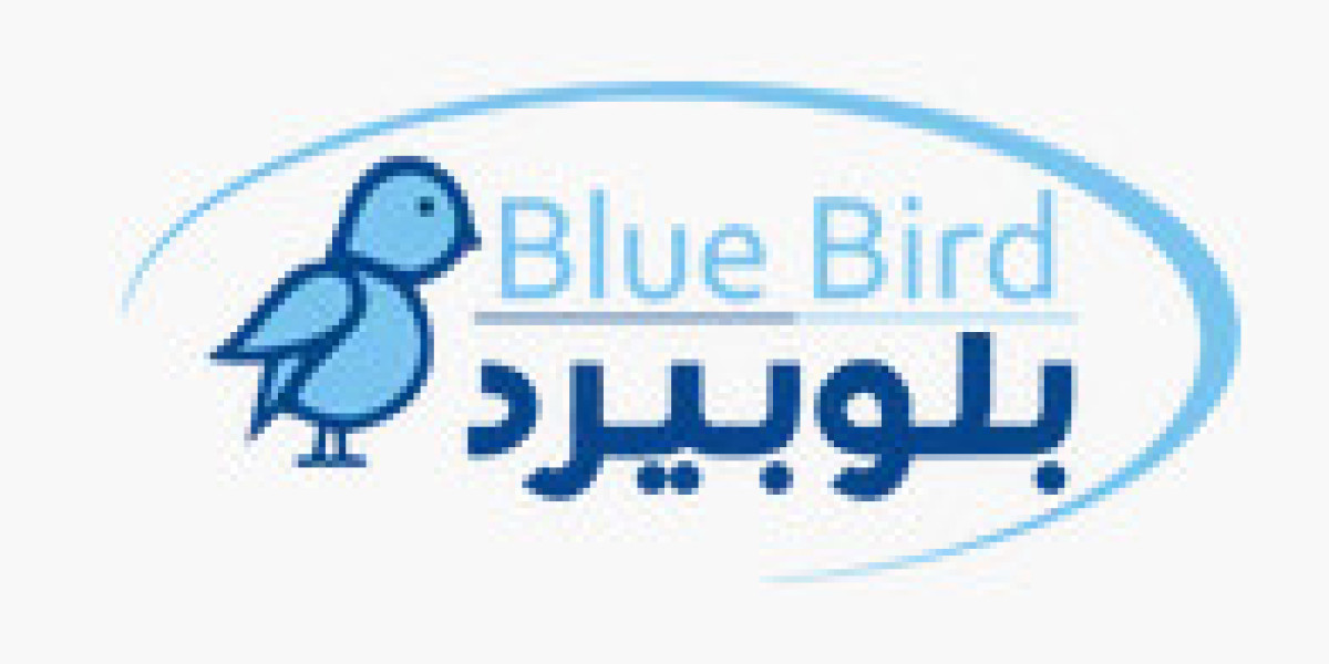 Exploring the Legacy of Blue Bird Toys