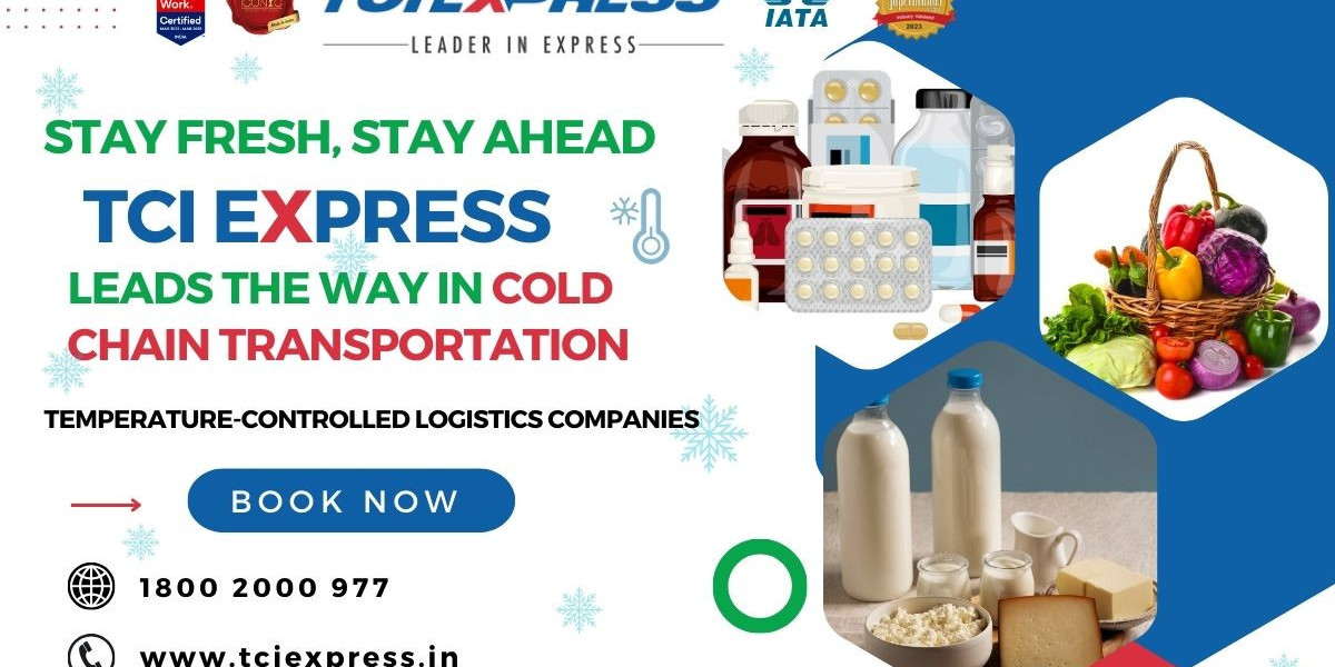 Mastering Logistics: TCI Express and the Evolution of Cold Chain Transportation