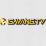 Gavang tv Profile Picture