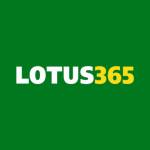 lotus365 Profile Picture