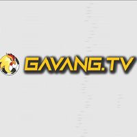 Gavang tv - Developer Profile on DoSelect