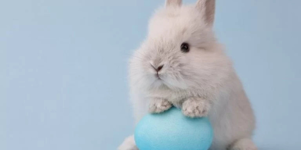 Do Bunnies Lay Eggs? Debunking the Myth