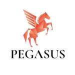 Pegasus Funding Profile Picture