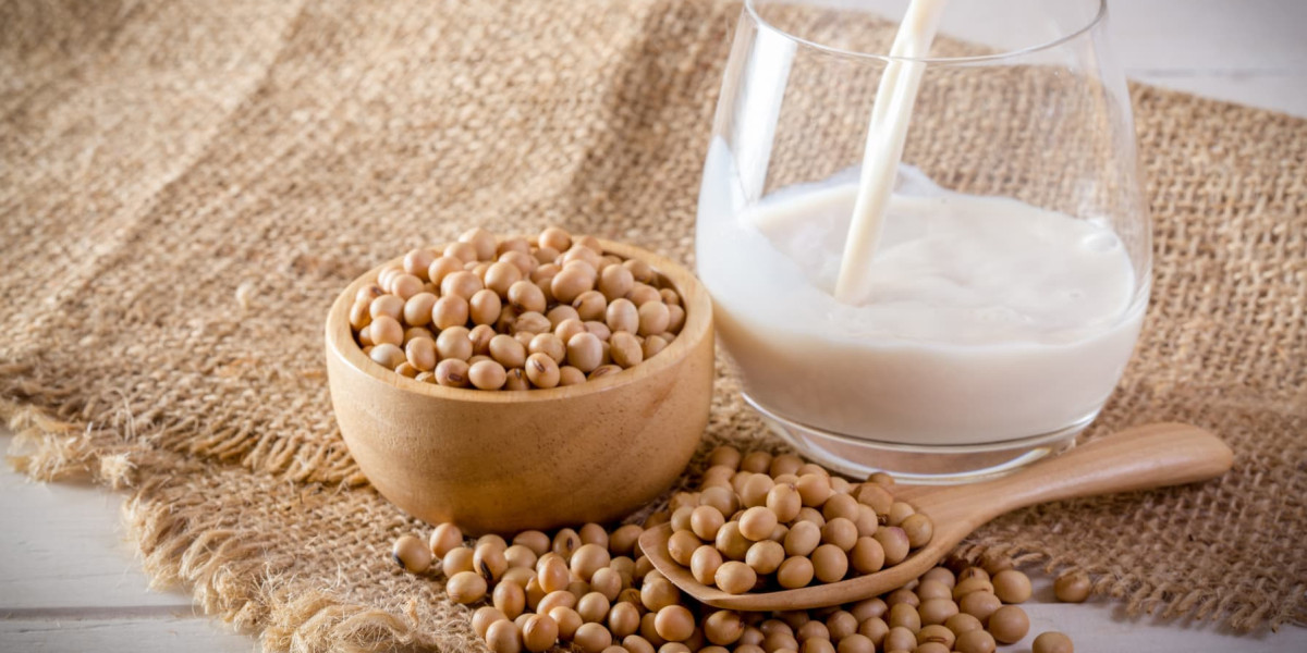 Soya Milk Manufacturing Plant Project Report 2024: Production Cost and Raw Materials Requirement
