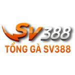 sv388 tong Profile Picture