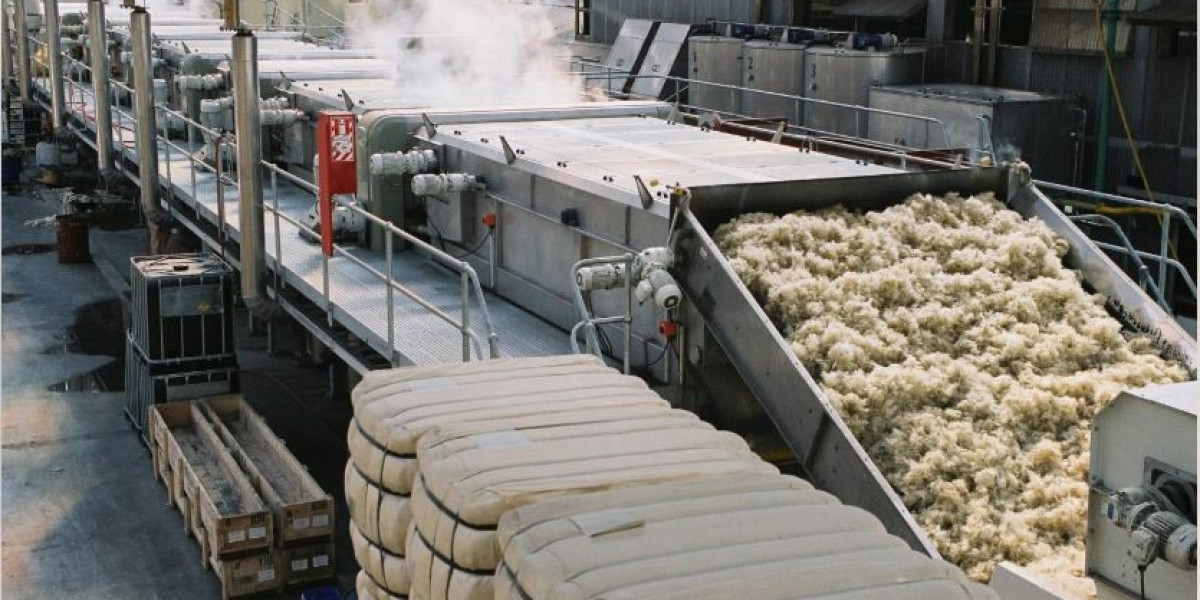 Cotton Processing Market: Unveiling the Fabric of Innovation