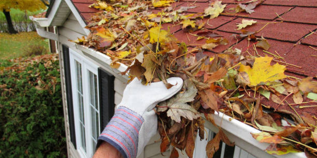 Premium Gutter Cleaning Service: Preserve Your Property's Structural Integrity