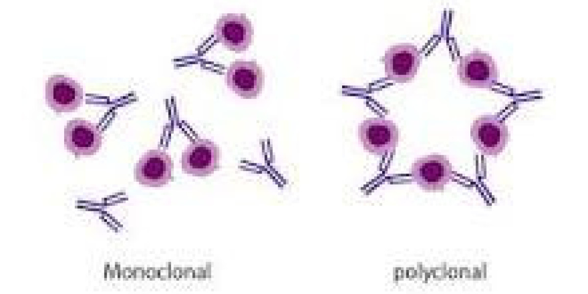 Polyclonal Antibodies Market is Anticipated to Register 7.01% CAGR through 2031