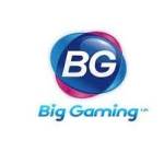 BG Gaming Profile Picture