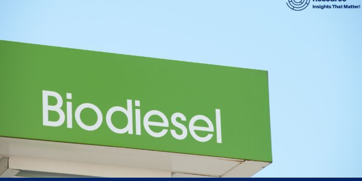 Biodiesel Production Cost: Analyzing the Economics of Sustainable Fuel