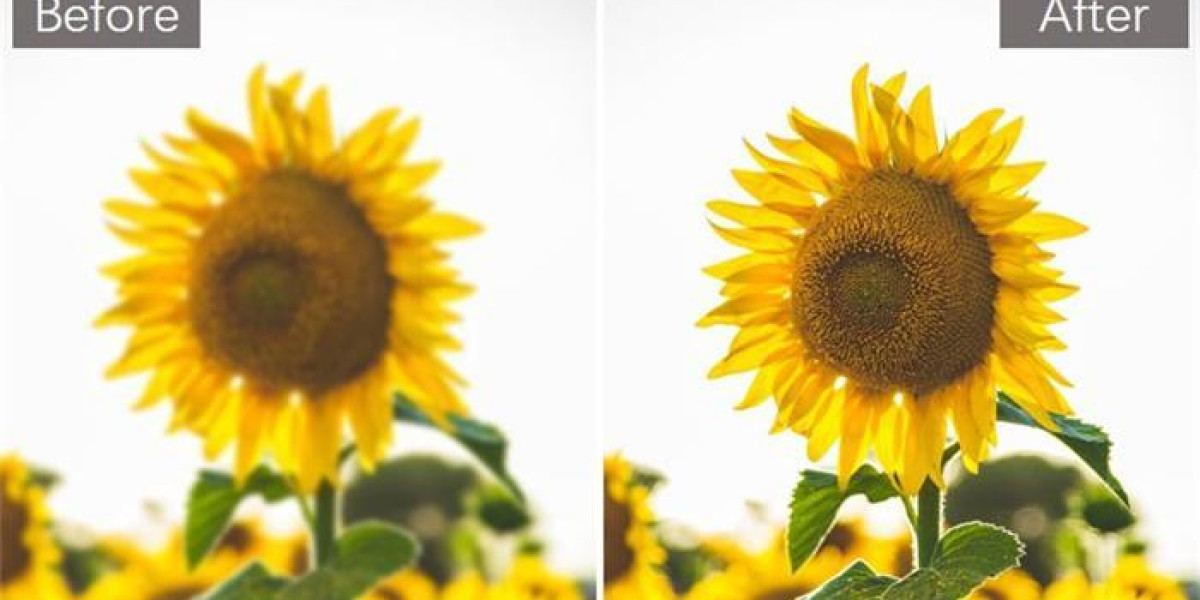  Mastering Clarity: AI Techniques to Remove Blur from Images