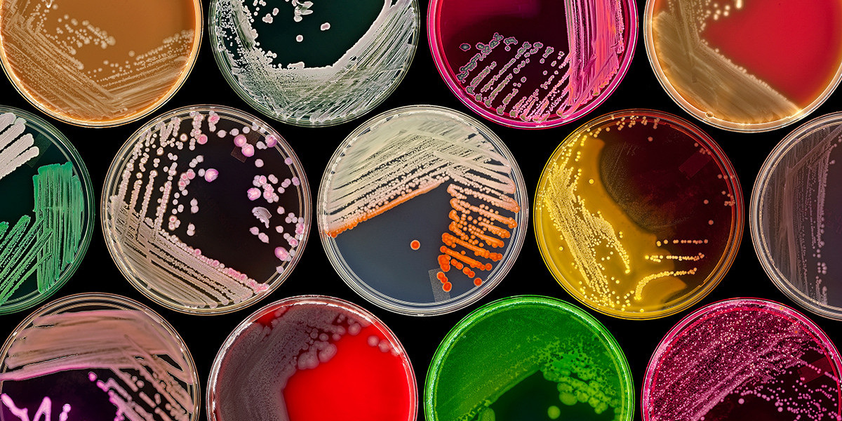 From $1.5 Billion to $2.58 Billion: The Microbiome Supplements Market Boom