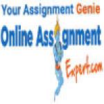 online assignment expert Profile Picture
