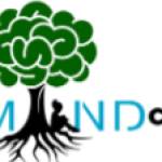 The Mind Center for Kids Profile Picture