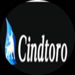 Cindtoro Profile Picture